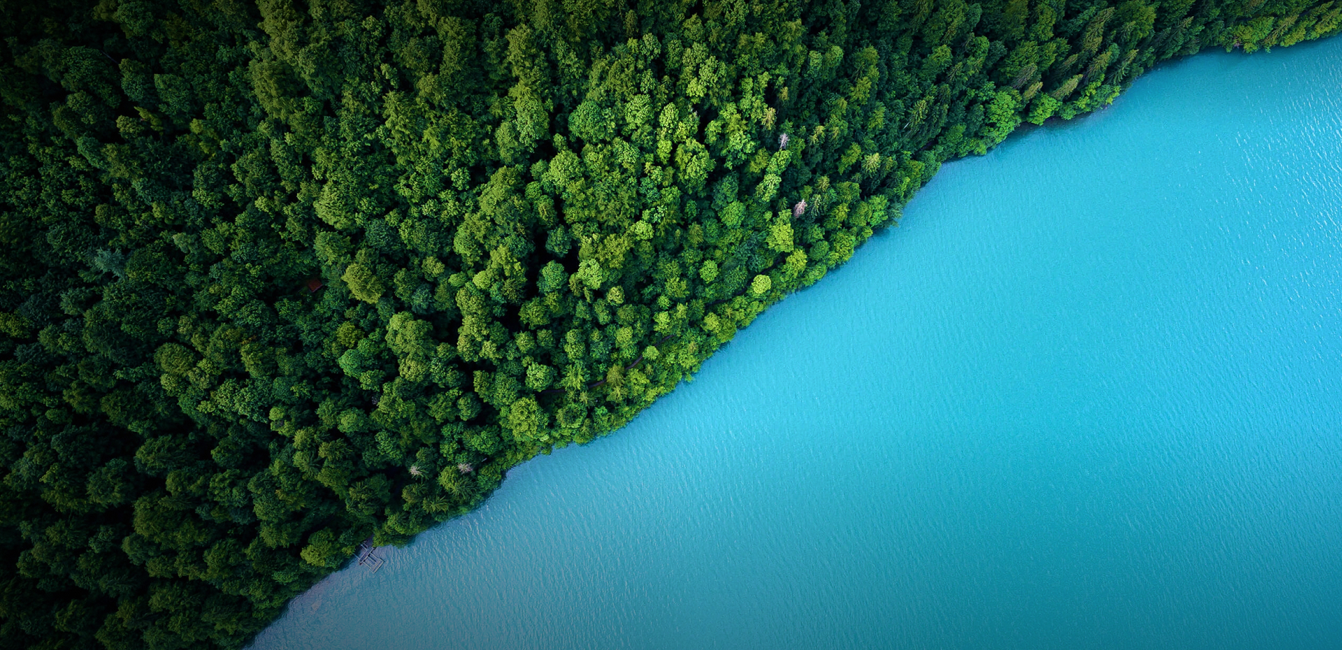 ��ɫ����