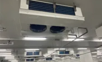 HCT Logistics Company Hold-over Plate Processing Freezing Storage