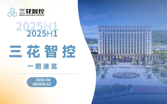 2025��HJC�ƽ�ǹٷ���վ�ǿذ��걨һͼ������