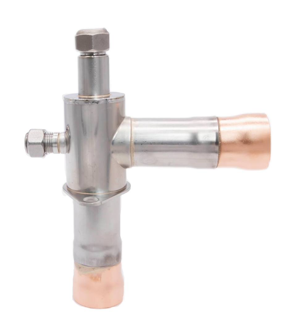 FSV-Dϵ�� D����ֹ��