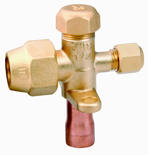 SSV-S1ϵ�� ��ֹ��