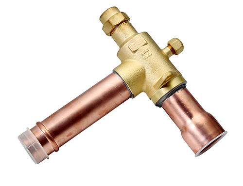 SSV-Tϵ�� T����ֹ��